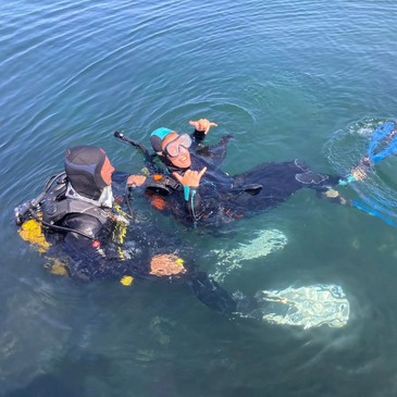 Baptême de Plongée à Noirmoutier Baptême de Plongée à Noirmoutier