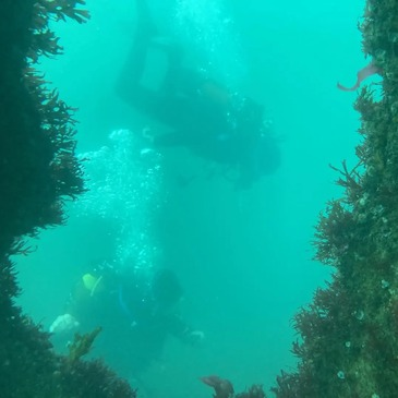 Réserver Baptême de plongée département Vendée Réserver Baptême de plongée département Vendée