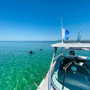 Baptême de plongée, département Vendée Baptême de plongée, département Vendée