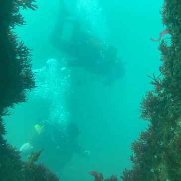 Baptême de plongée proche Noirmoutier