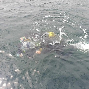 Noirmoutier, Vendée (85) - Brevet de Plongée Sous Marine
