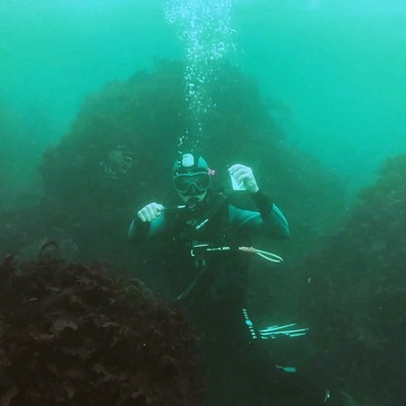 Sport Aquatique en région Pays-de-la-Loire Sport Aquatique en région Pays-de-la-Loire