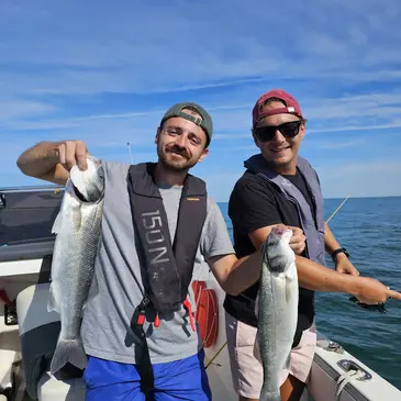 Pêche au gros, département Charente maritime Pêche au gros, département Charente maritime