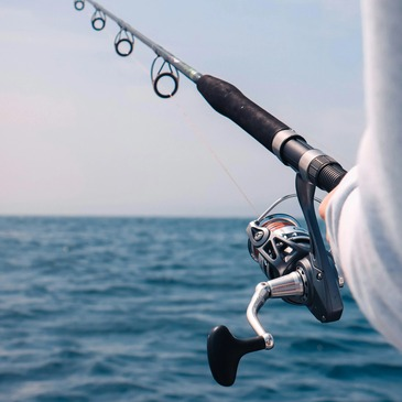 Pêche au gros en région Poitou-Charentes Pêche au gros en région Poitou-Charentes