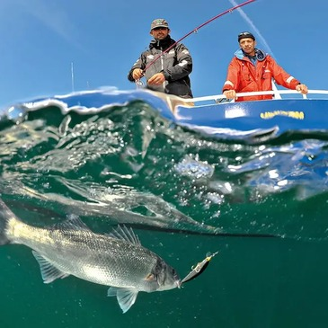 Charente maritime (17) Poitou-Charentes - Sport Aquatique Charente maritime (17) Poitou-Charentes - Sport Aquatique