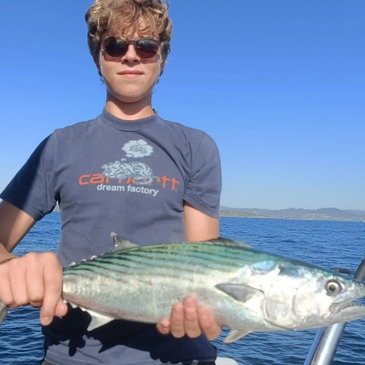 Pêche au gros en région PACA et Corse