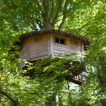 Cabane dans les Arbres à Savigny près de Saint-Lô Cabane dans les Arbres à Savigny près de Saint-Lô