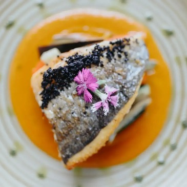 Week-End Gourmand et Spa à l'Hôtel Le Meez 4* à Carcassonne Week-End Gourmand et Spa à l'Hôtel Le Meez 4* à Carcassonne