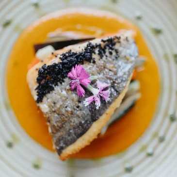 Spa Gourmand à l&#39;Hôtel le Meez 4* à Carcassonne
