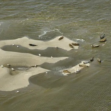 Baptême en Planeur à Abbeville - La Baie de Somme en région Picardie Baptême en Planeur à Abbeville - La Baie de Somme en région Picardie