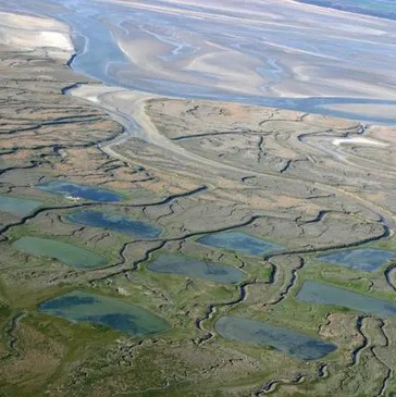 Vol d&#39;Initiation en Planeur à Abbeville - La Baie de Somme