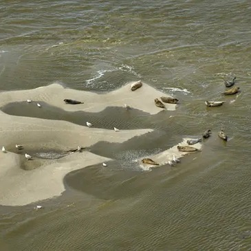 Baptême de l'air en Planeur, département Somme Baptême de l'air en Planeur, département Somme
