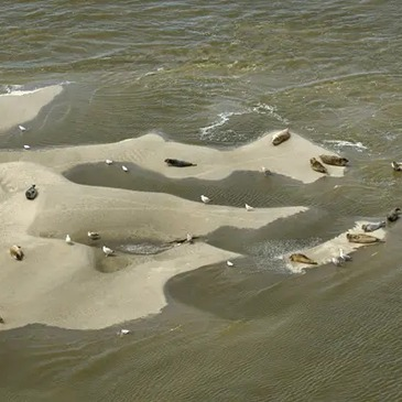Réserver Baptême de l'air en Planeur en Normandie Réserver Baptême de l'air en Planeur en Normandie