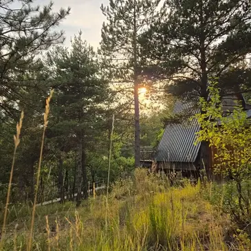 Cabane de Luxe dans les Arbres avec Spa à Serres