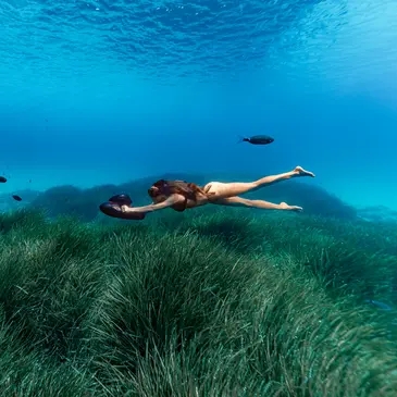 Jet ski Scooter des mers en région PACA et Corse Jet ski Scooter des mers en région PACA et Corse