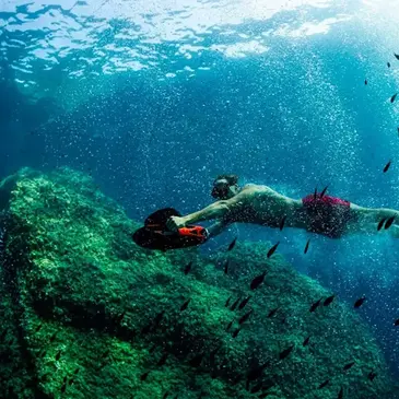 Bouches du Rhône (13) PACA et Corse - Sport Aquatique Bouches du Rhône (13) PACA et Corse - Sport Aquatique