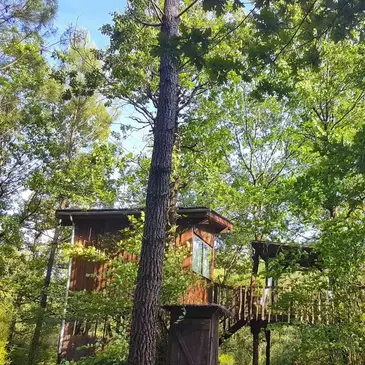 Cabane dans les Arbres avec Spa près du Bassin d&#39;Arcachon
