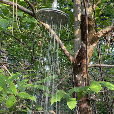Weekend et Hébergement Insolite proche Origne, à 1h du Bassin d'Arcachon Weekend et Hébergement Insolite proche Origne, à 1h du Bassin d'Arcachon