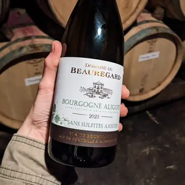 Cours d&#39;œnologie en région Bourgogne