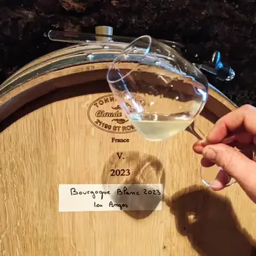 Saint-Sernin-du-Plain, à 30min de Beaune, Côte d'or (21) - Cours d'œnologie Saint-Sernin-du-Plain, à 30min de Beaune, Côte d'or (21) - Cours d'œnologie