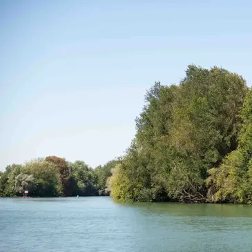 Week end Gastronomique proche Montévrain, à 15min de Disneyland Paris Week end Gastronomique proche Montévrain, à 15min de Disneyland Paris