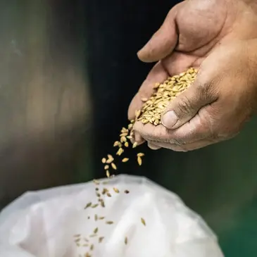 Cours d'œnologie, département Creuse Cours d'œnologie, département Creuse