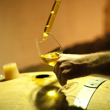 Dégustation de Vins au Domaine La Grande Maison à Monbazillac