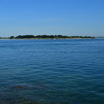 Initiation au WingFoil dans le Golfe du Morbihan en région Bretagne