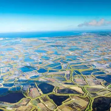 Sport Aérien en région Pays-de-la-Loire Sport Aérien en région Pays-de-la-Loire