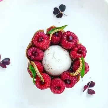 Cours de Cuisine Gastronomique et Insolite à Paris 2ème en région Ile-de-France