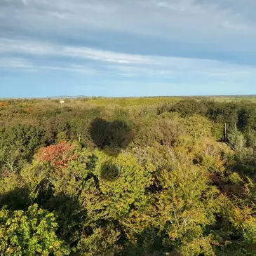 Réserver Baptême de l&#39;air montgolfière département Loire
