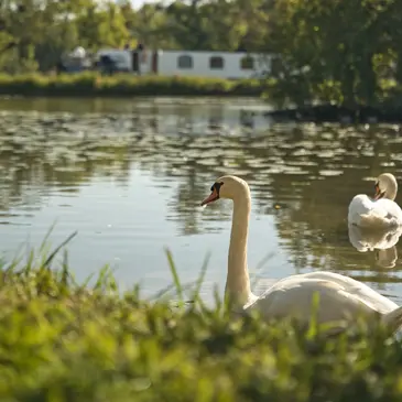 Weekend et Hébergement Insolite, département Loiret