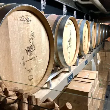 Cours d'œnologie, département Haut rhin Cours d'œnologie, département Haut rhin