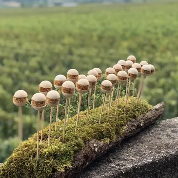 Gueberschwihr, à 15min de Colmar, Haut rhin (68) - Cours d'œnologie Gueberschwihr, à 15min de Colmar, Haut rhin (68) - Cours d'œnologie