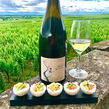Cours d&#39;Œnologie au Domaine Humbrecht près de Colmar en région Alsace