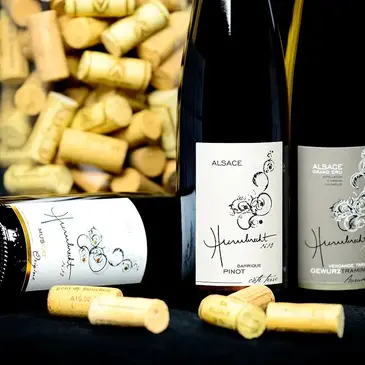 Urbain en région Alsace Urbain en région Alsace