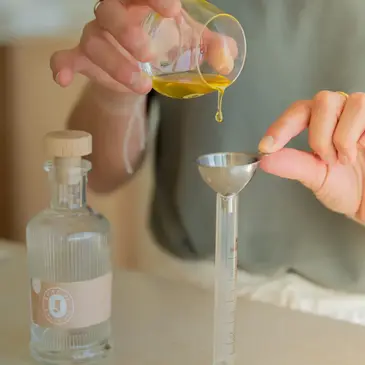 Atelier Fabrication d'Huile D'Olive dans les Alpilles Atelier Fabrication d'Huile D'Olive dans les Alpilles