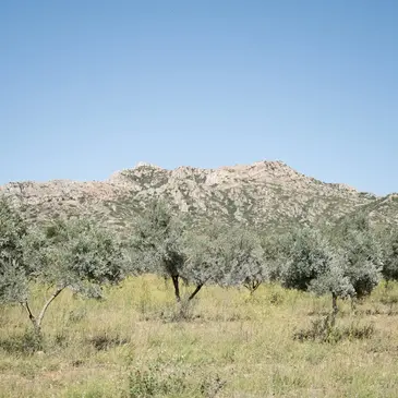 Réserver Cours de Cuisine département Bouches du Rhône Réserver Cours de Cuisine département Bouches du Rhône