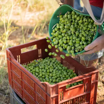 Réserver Cours de Cuisine en PACA et Corse