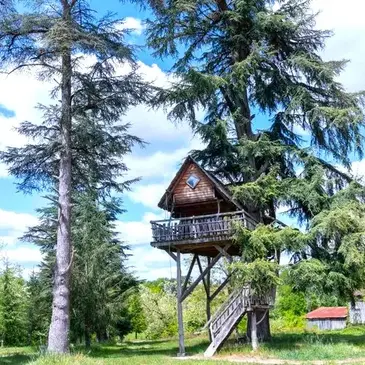 Nuit en Cabane dans les Arbres au Cœur de l&#39;Armagnac