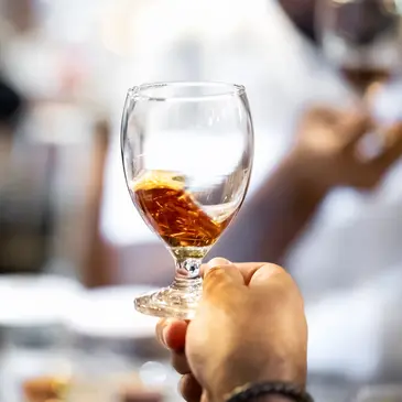 Cours d'œnologie en région PACA et Corse Cours d'œnologie en région PACA et Corse