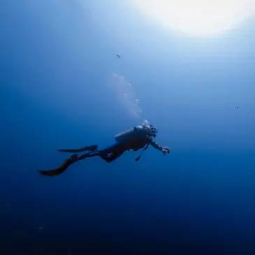 Nord (59) Nord-Pas-de-Calais - Sport Aquatique