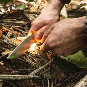 Stage de Survie en région Alsace