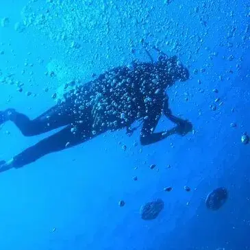 Baptême de plongée en région Languedoc-Roussillon Baptême de plongée en région Languedoc-Roussillon