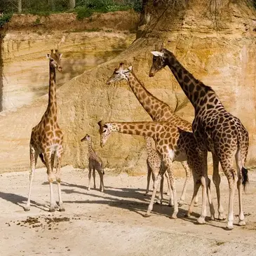 Weekend et Hébergement Insolite, département Maine et loire