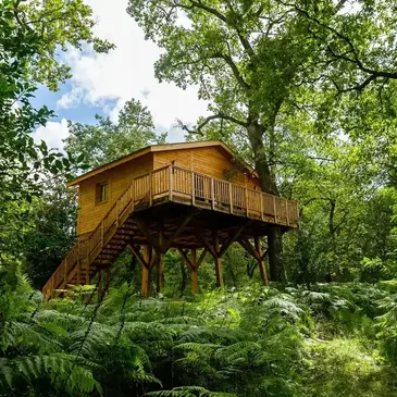 Cabane dans les Arbres à Léognan près de Bordeaux Cabane dans les Arbres à Léognan près de Bordeaux