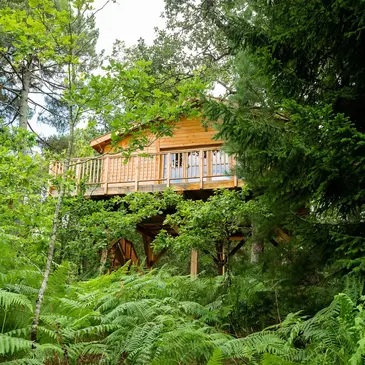 Weekend et Hébergement Insolite proche Léognan, près de Bordeaux Weekend et Hébergement Insolite proche Léognan, près de Bordeaux