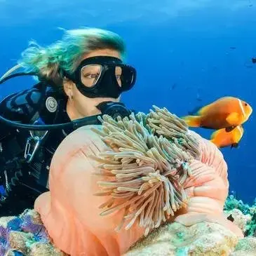 Initiation à la plongée à Arcachon Initiation à la plongée à Arcachon