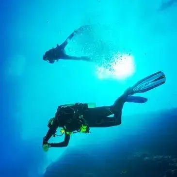 Gironde (33) Aquitaine - Sport Aquatique