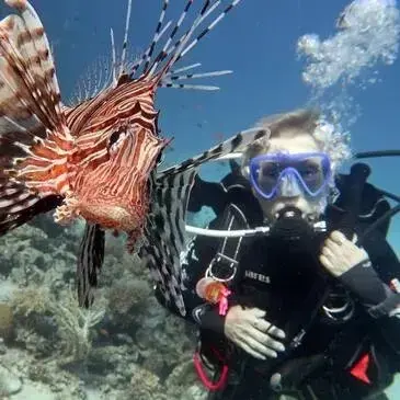 Baptême de plongée proche Arcachon Baptême de plongée proche Arcachon